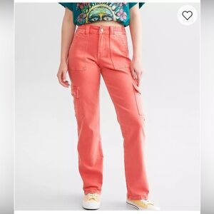 Dixie Stretch Cargo Utility Pant by Vervet